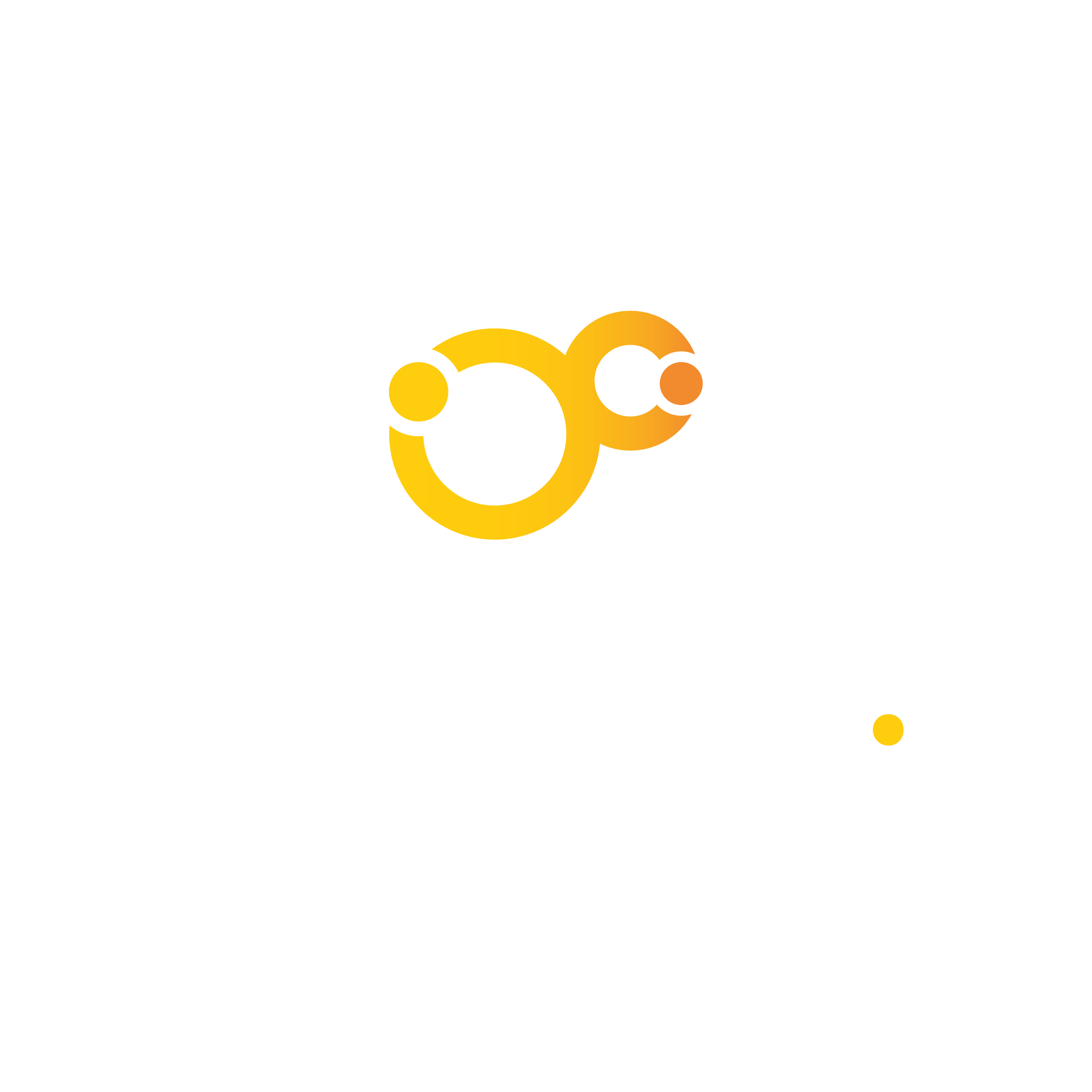 Iparides Logo